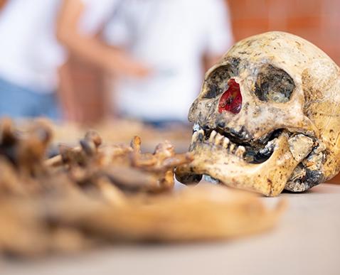 Ciencias Forenses